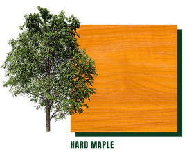 hard maple