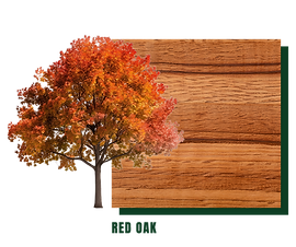 red oak
