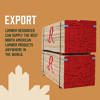 export-1.jpg